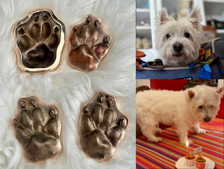 Colby and His Bronze Paws
