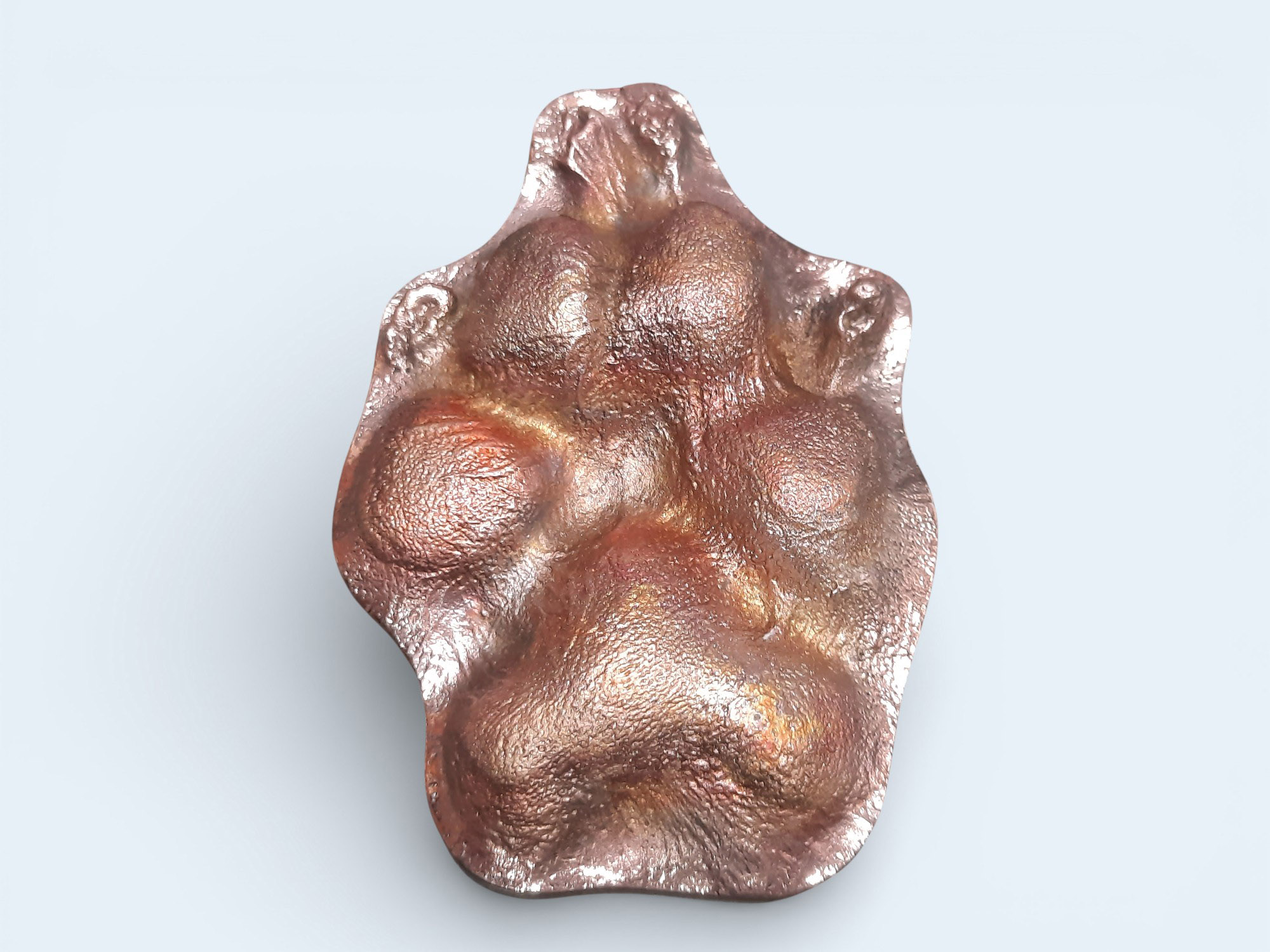 Bronze dog paw in default relief style, shape is contoured around paw pads and claws