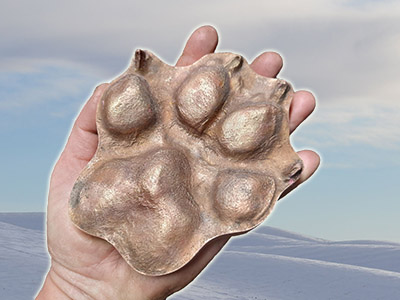 Giant Pet-Paw
