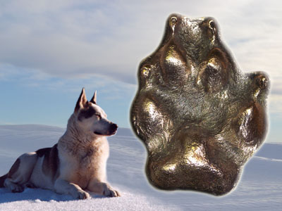 Bronze paw casting beside dog in snow