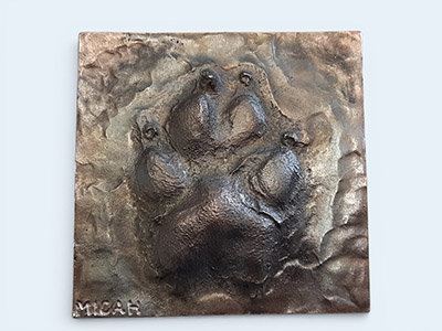 Bronze Pet-Paw tile