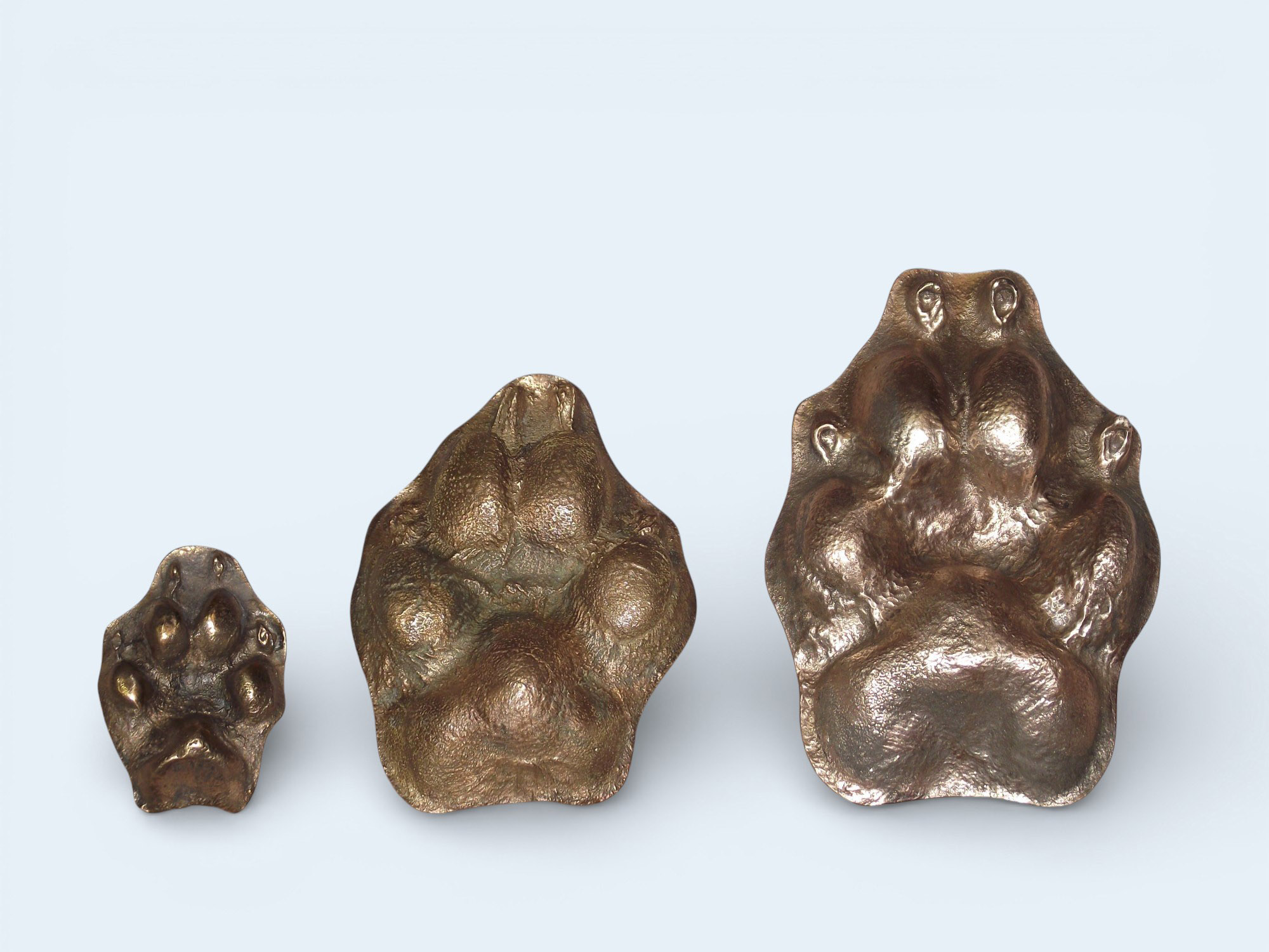 size comparison of 3 bronze paws: small, large, giant